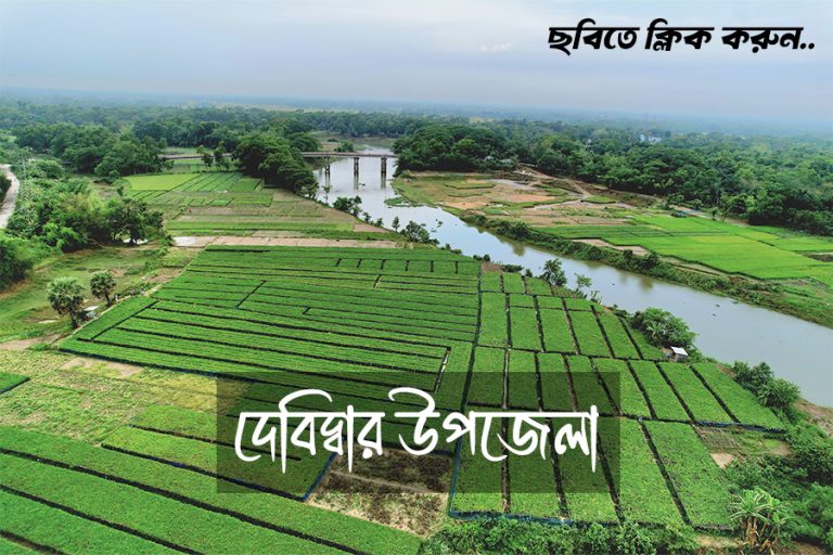 দেবিদ্বার উপজেলা
